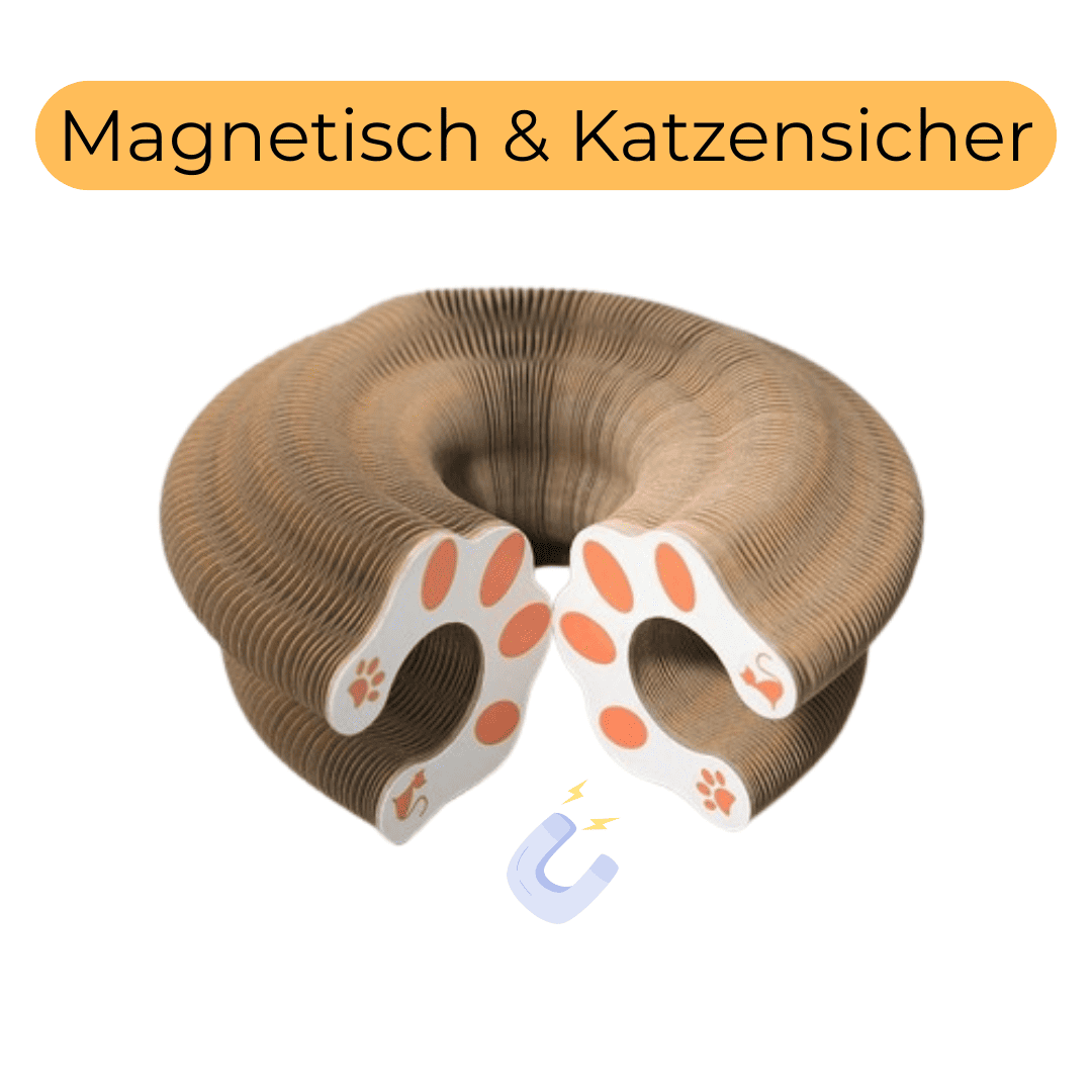 PfotenArena - Spielspaß für Katzen