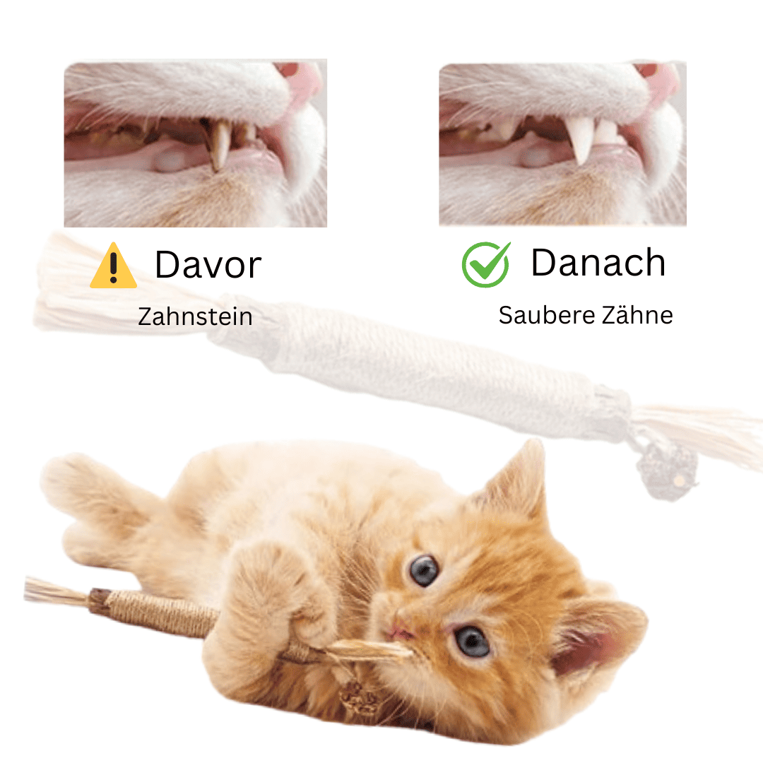 Kaurio - 100% natürliche Zahnpflege für Katzen