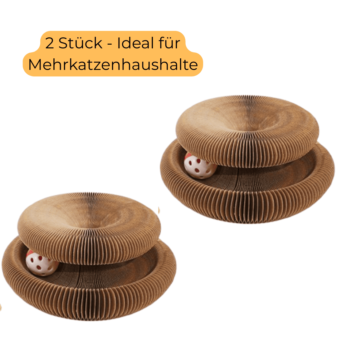 PfotenArena - Spielspaß für Katzen