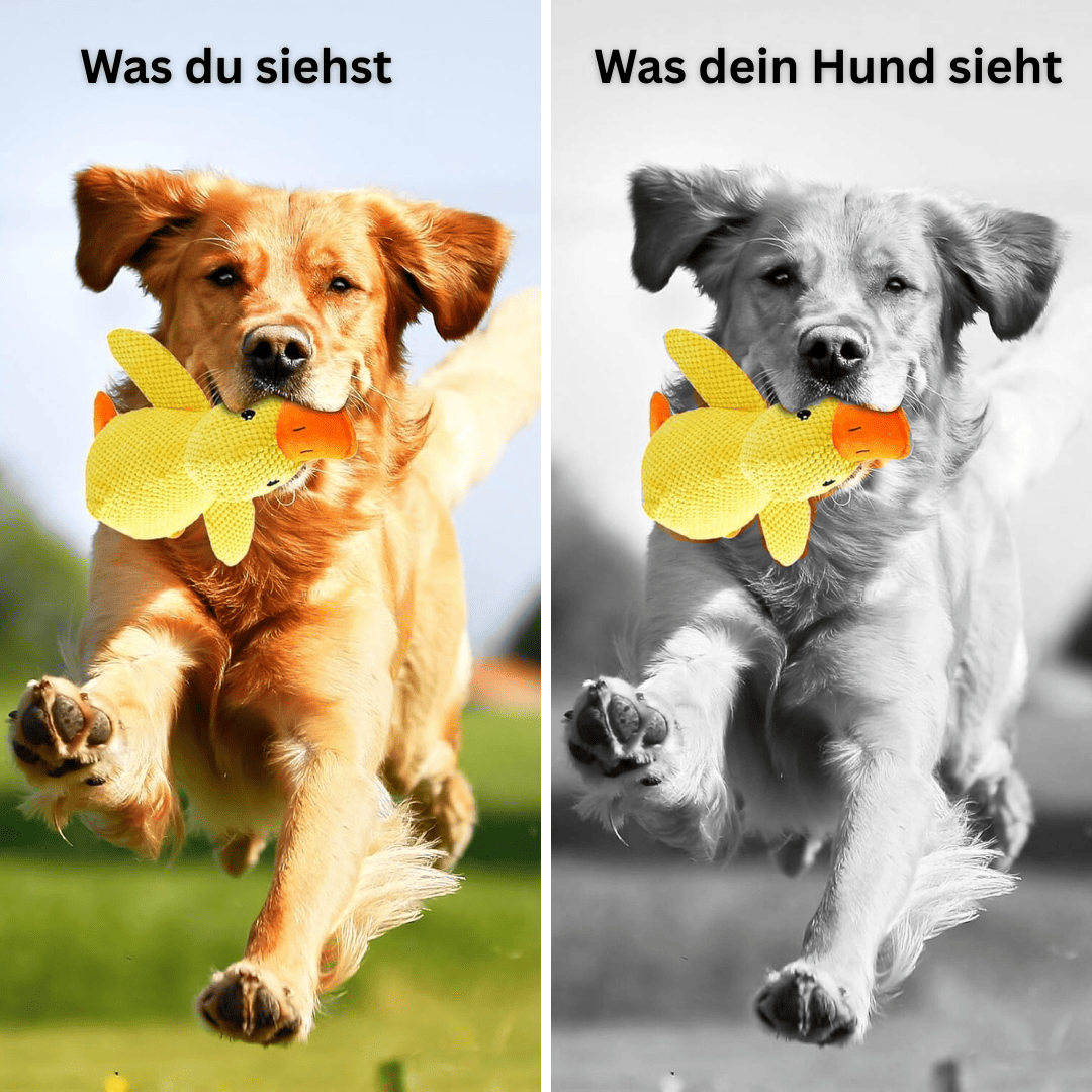 WohlfühlEnte - Für entspannte Momente