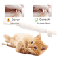 Kaurio - 100% natürliche Zahnpflege für Katzen