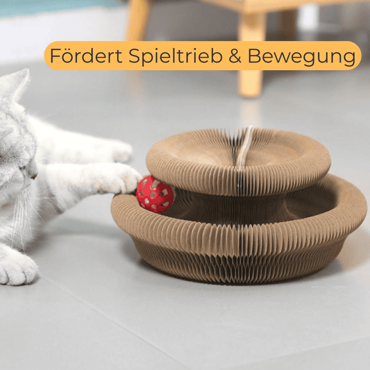 PfotenArena - Spielspaß für Katzen